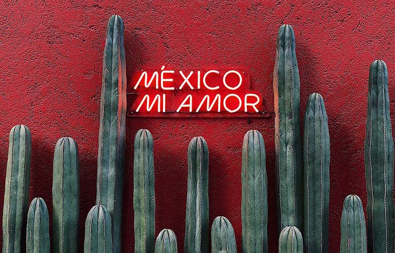 green cacti in front of a red wall with a neon sign that says Mexico mi amor