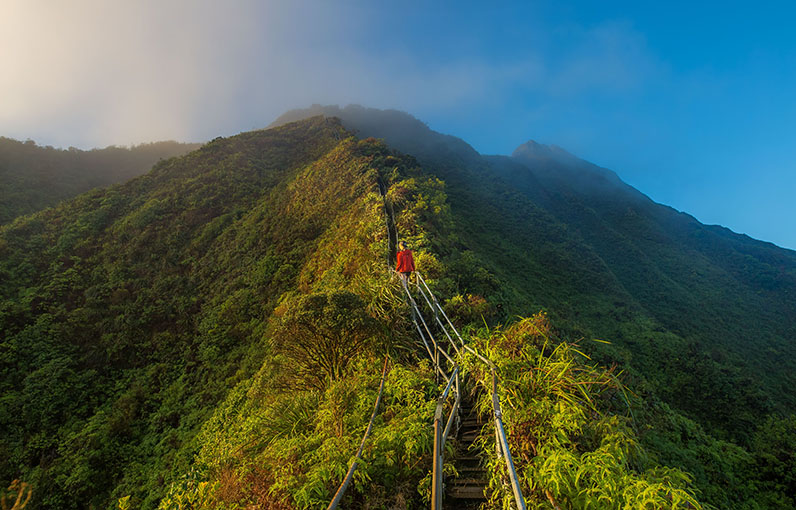 man in red hiking a staircase on a green lush hill